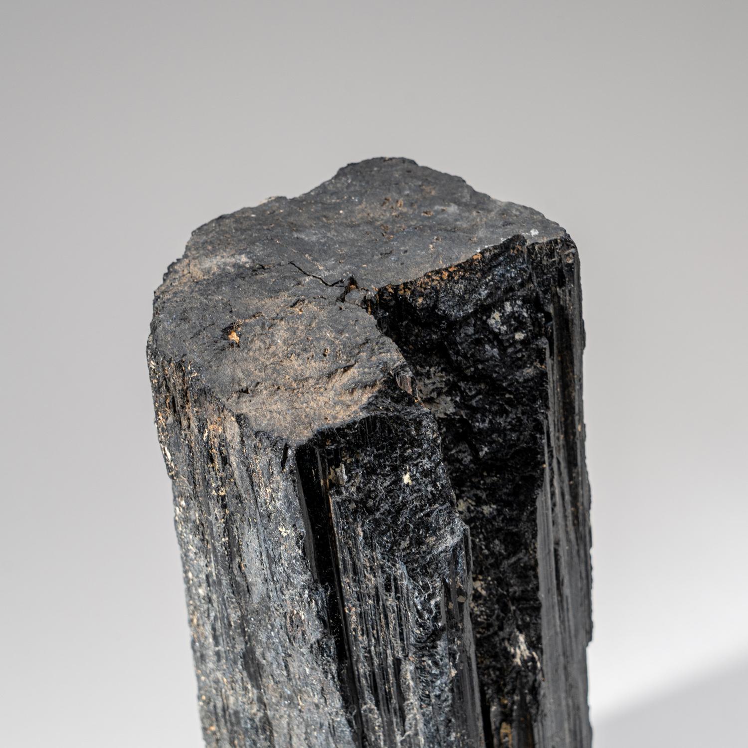Genuine Black Tourmaline Crystal From India (16.8 lbs) In New Condition For Sale In New York, NY