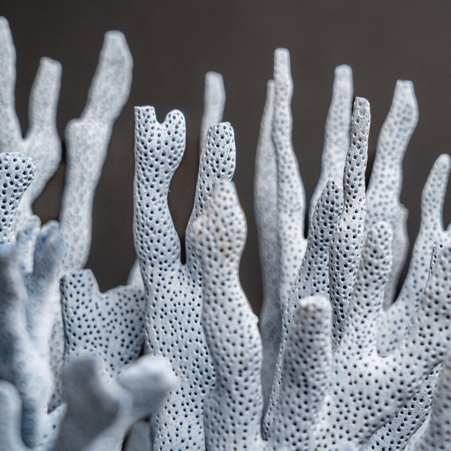 Genuine Blue Ridge Coral (12