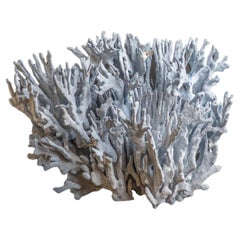 Coral Blue Ridge véritable (15 po., 15 lbs)