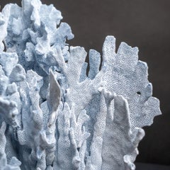 Coral genuino de Blue Ridge (16", 18,5 lbs)