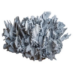 Genuine Blue Ridge Coral (17", 18.5 lbs)