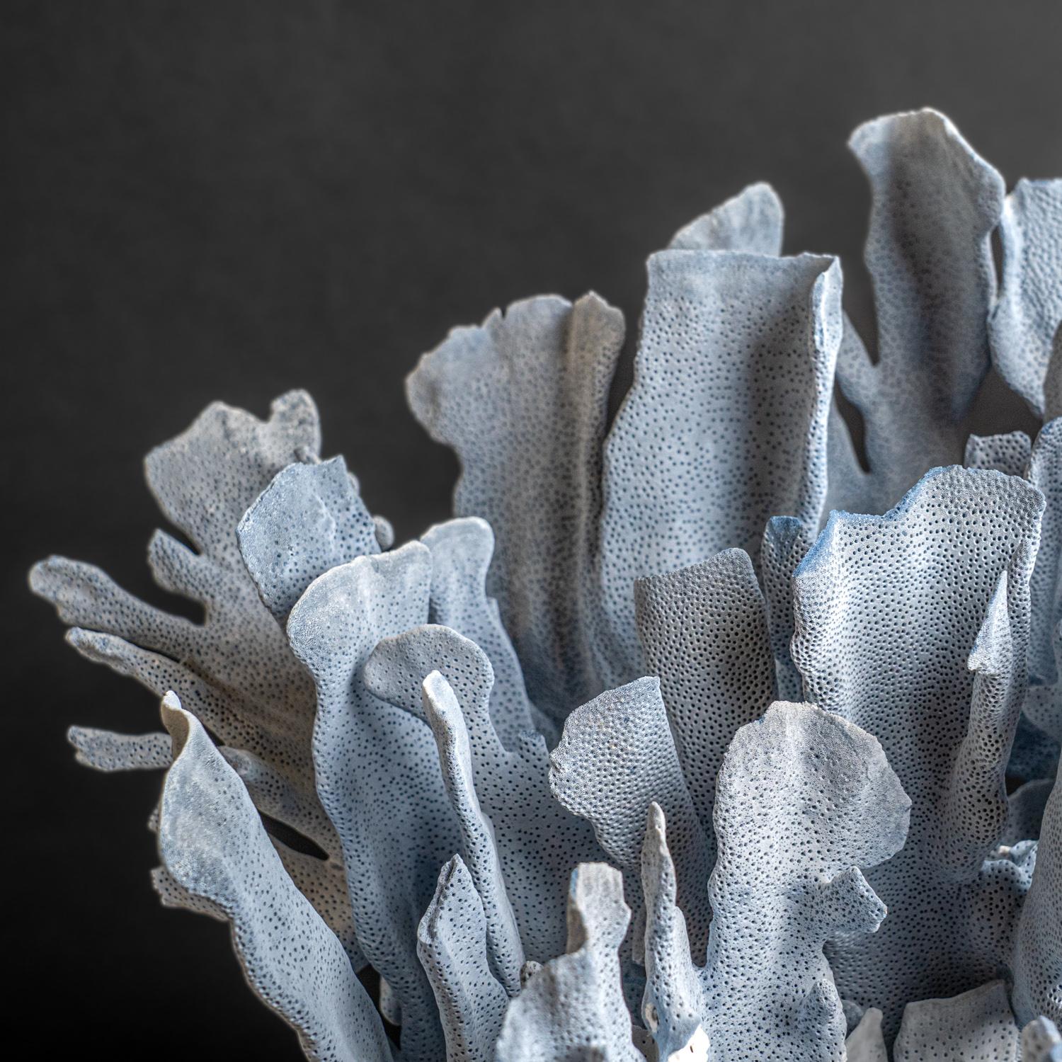 Genuine Blue Ridge Coral (18