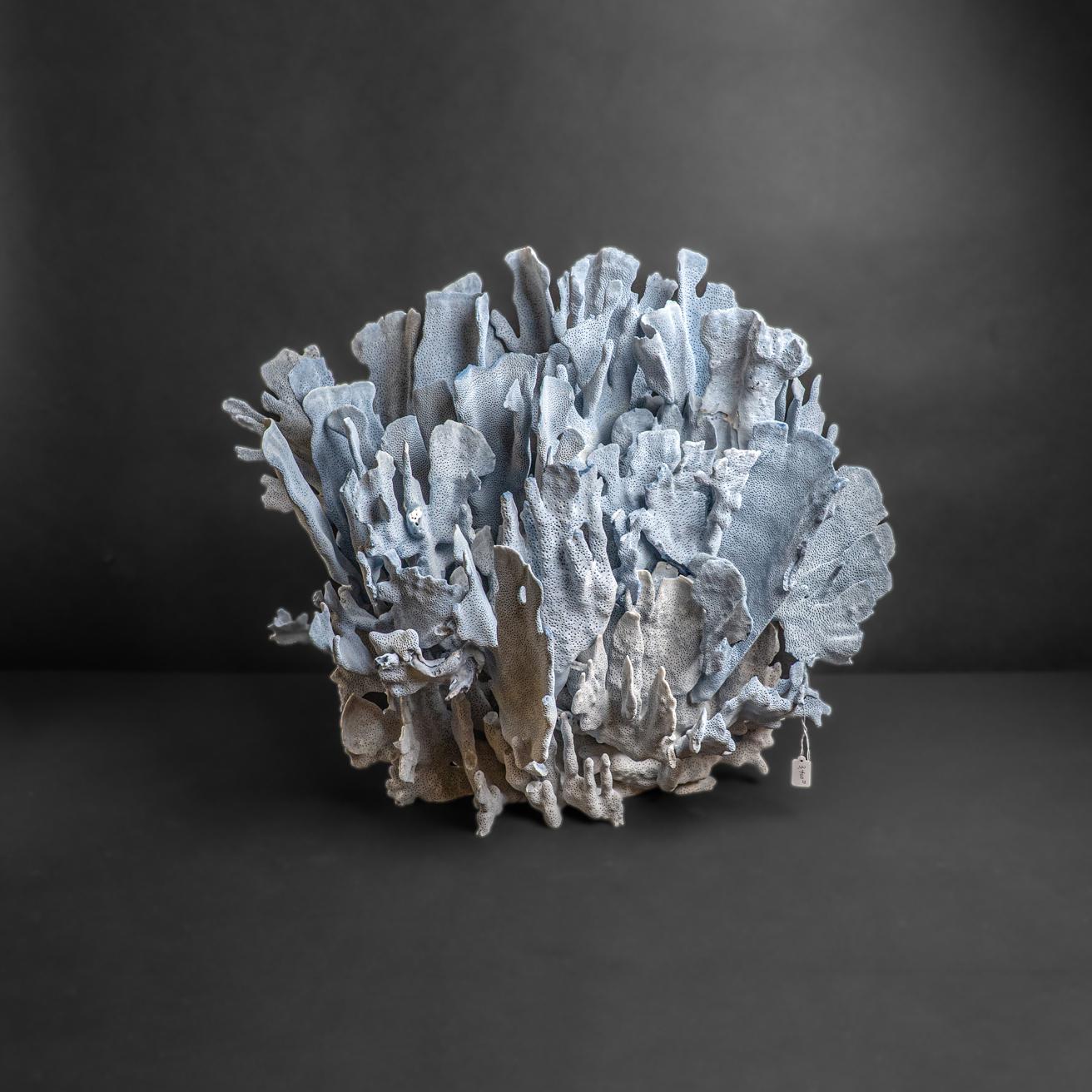 Genuine Blue Ridge Coral (18