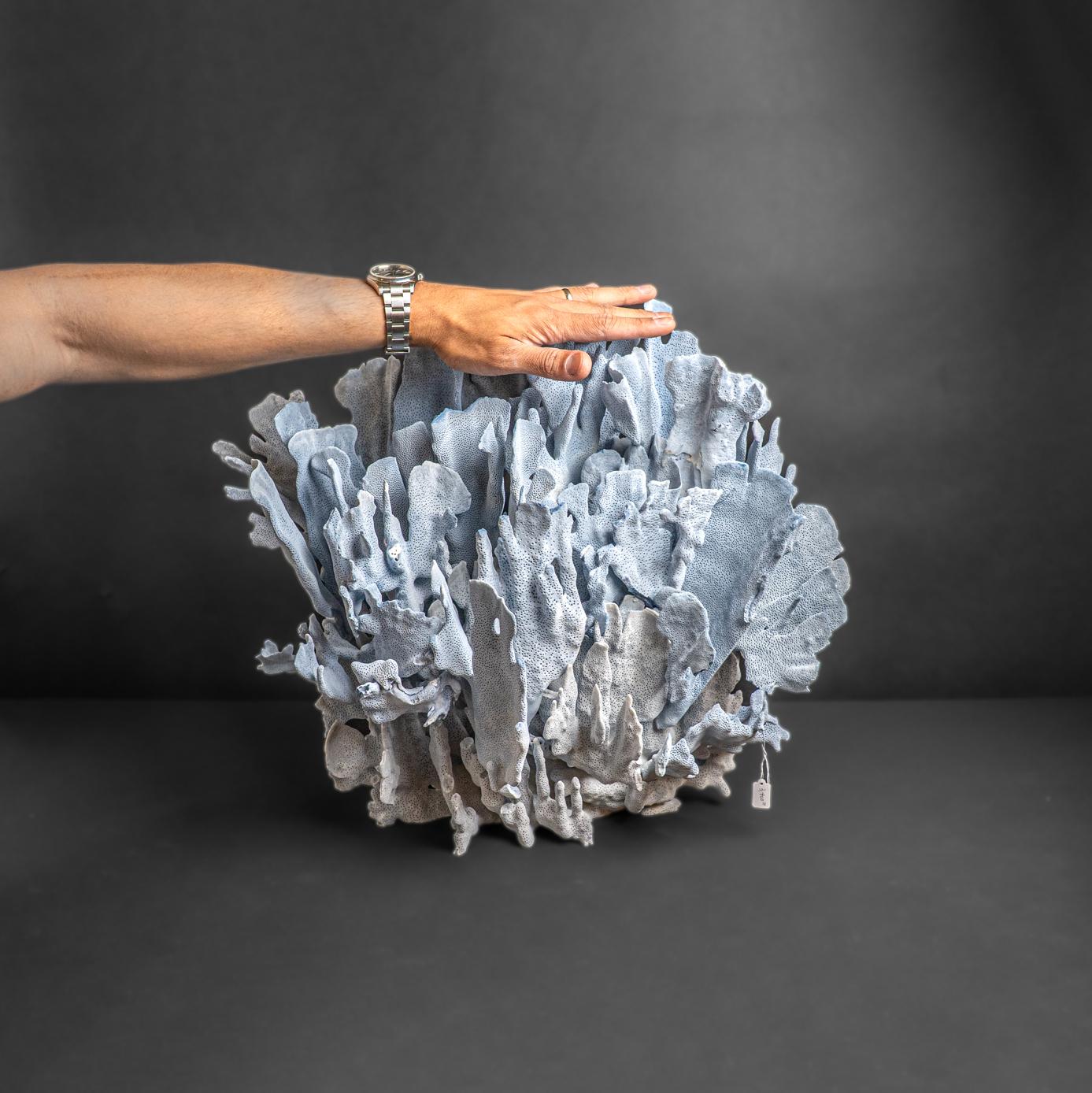 Genuine Blue Ridge Coral (18