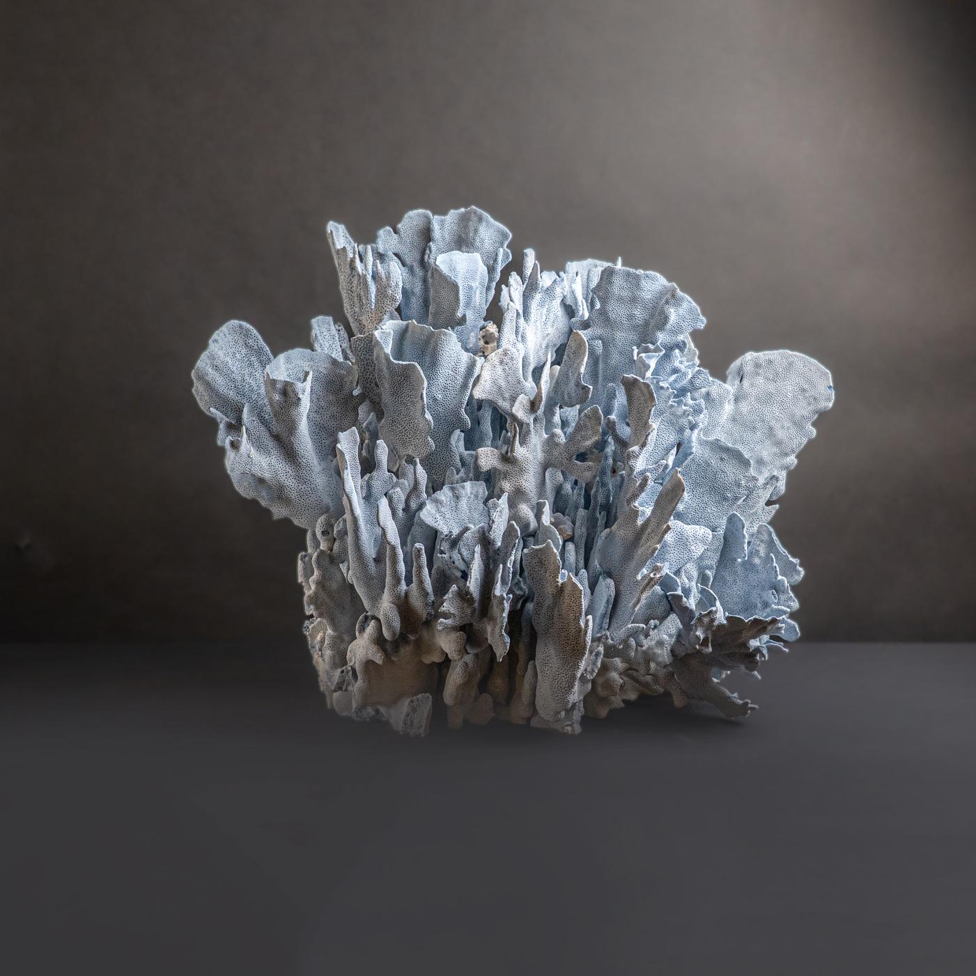 Contemporary Genuine Blue Ridge Coral (18
