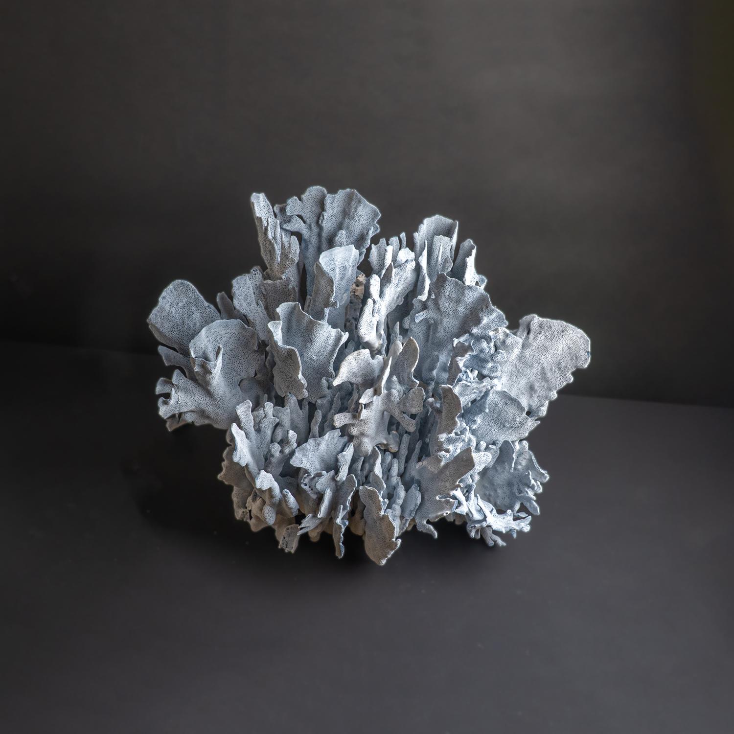 Other Genuine Blue Ridge Coral (18