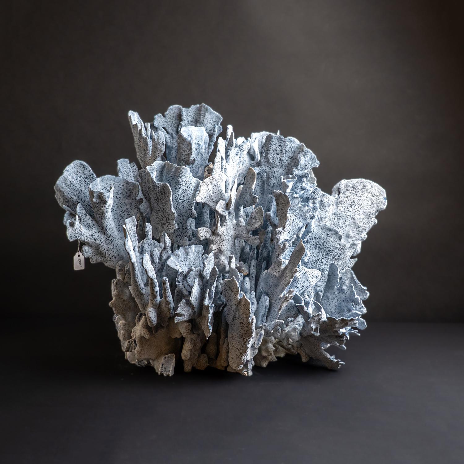 Genuine Blue Ridge Coral (18