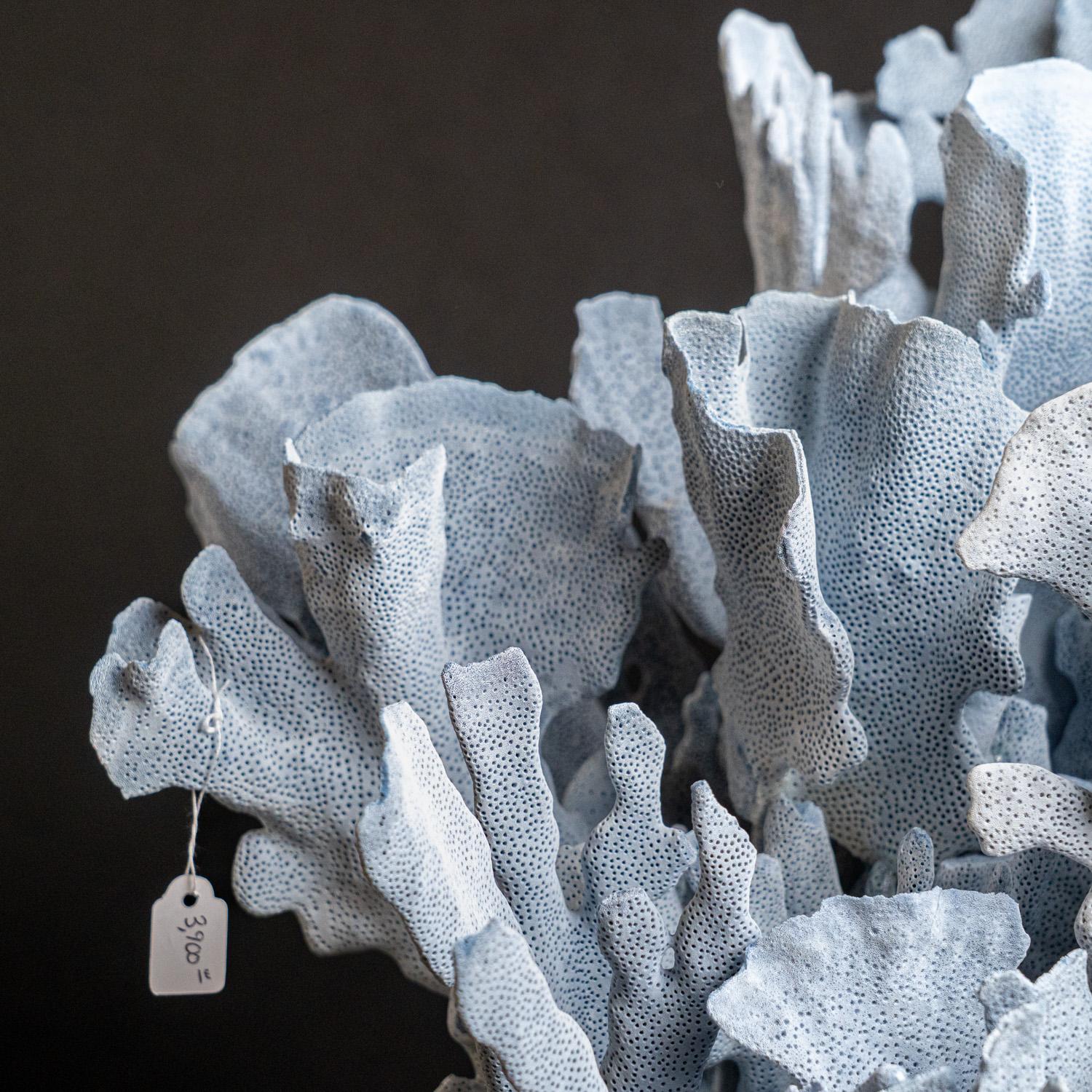 Genuine Blue Ridge Coral (18