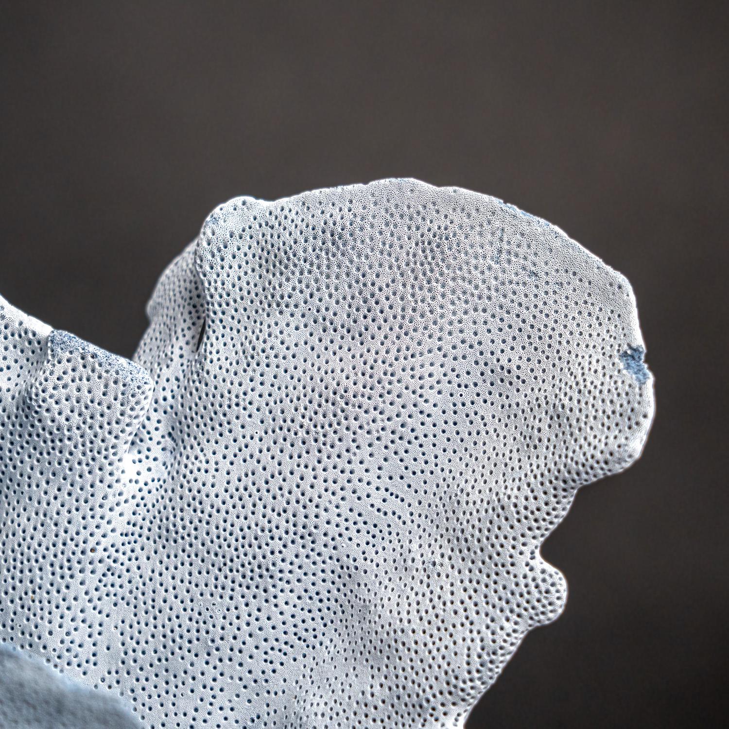 Genuine Blue Ridge Coral (18