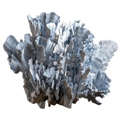 Genuine Blue Ridge Coral (18", 25 lbs)