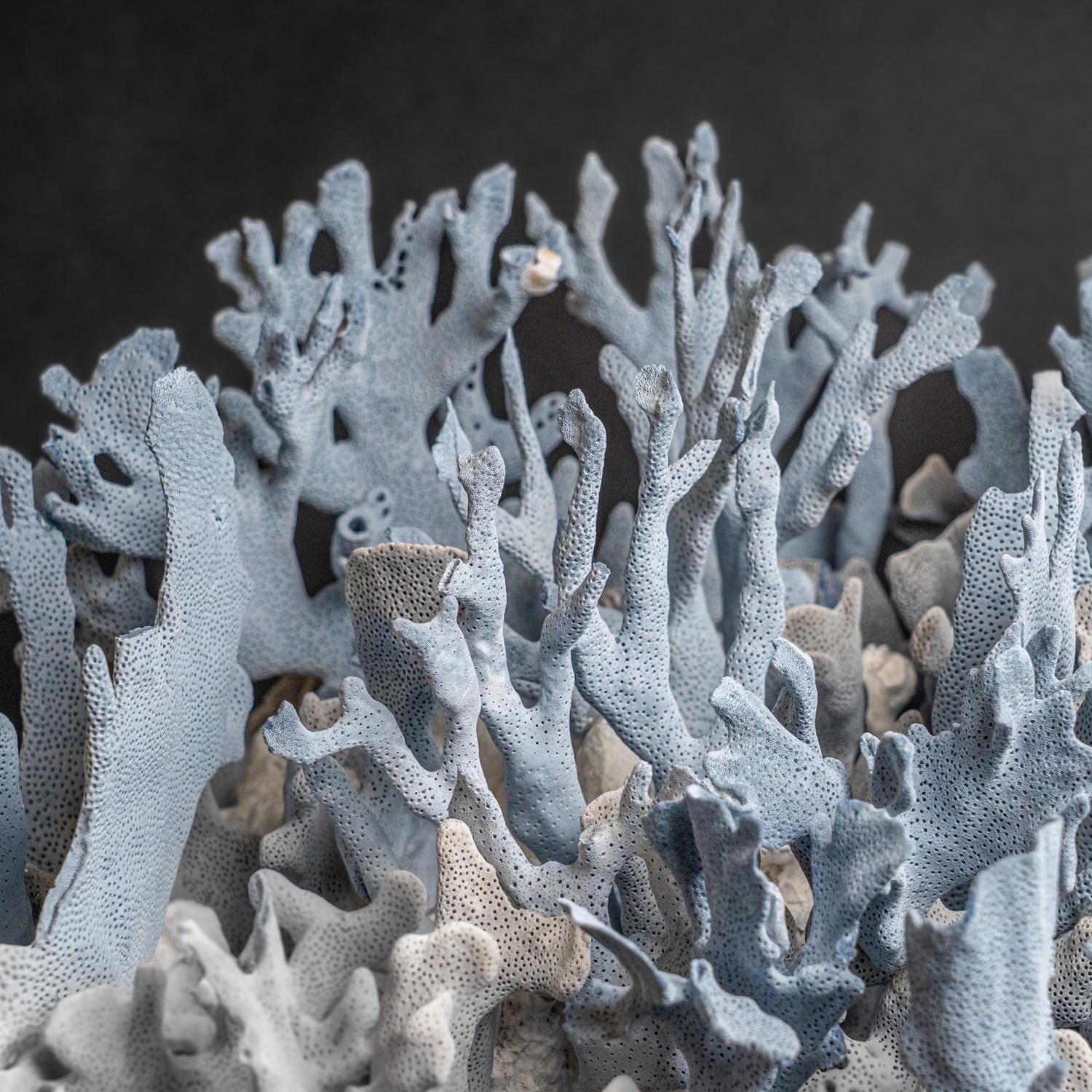 Genuine Blue Ridge Coral (18