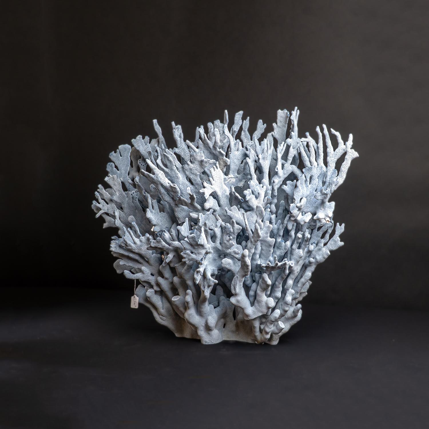 Genuine Blue Ridge Coral (20