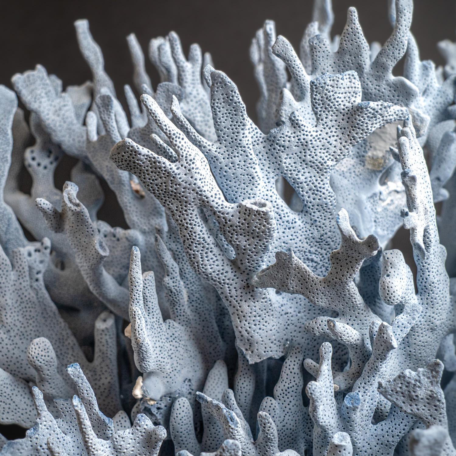 Other Genuine Blue Ridge Coral (20