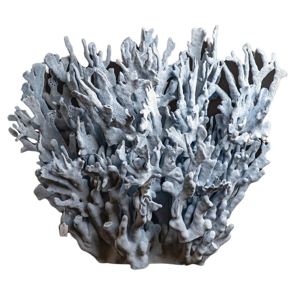 Coral Blue Ridge véritable (20 po., 23 lbs)