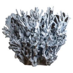 Genuine Blue Ridge Coral (20", 23 lbs)