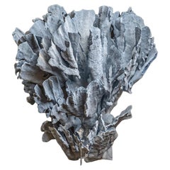 Genuine Blue Ridge Coral (21", 25 lbs)