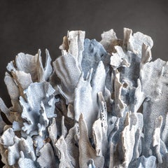 Genuine Blue Ridge Coral (21", 29 lbs)