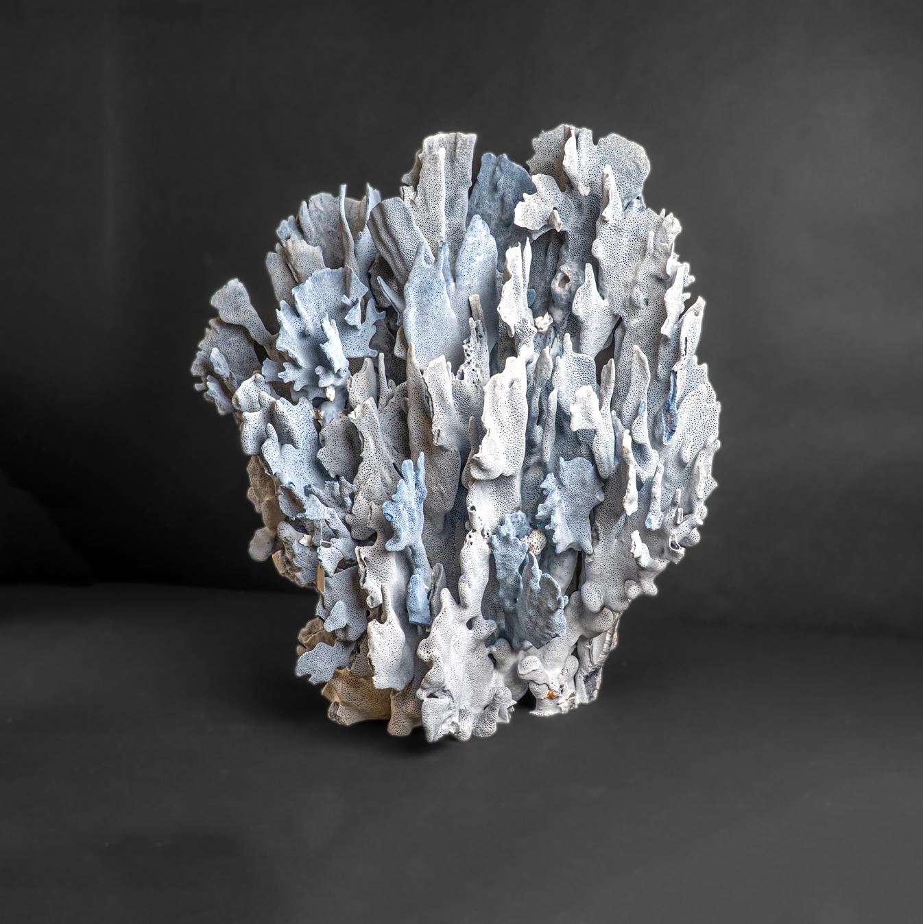 Genuine Blue Ridge Coral (21