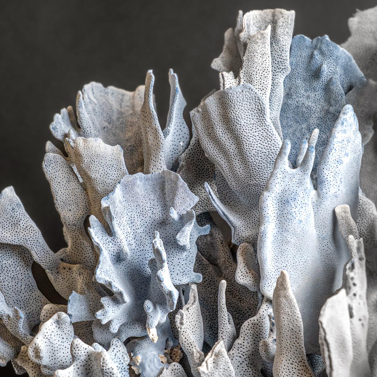 Other Genuine Blue Ridge Coral (21