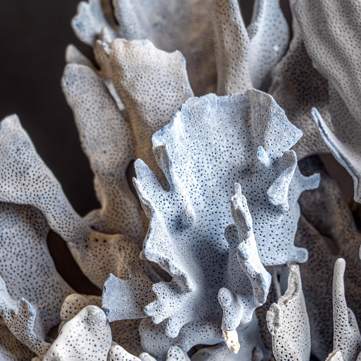 Genuine Blue Ridge Coral (21