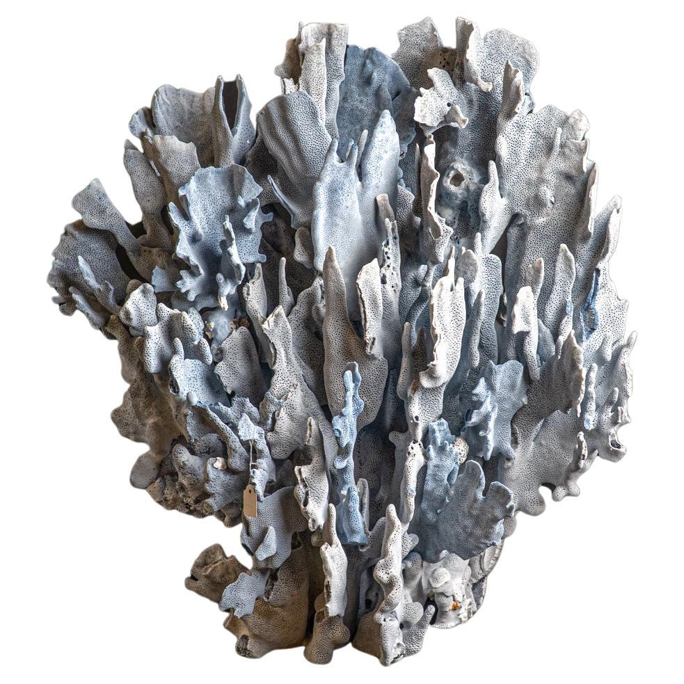 Coral Blue Ridge véritable (21 po., 29 livres)