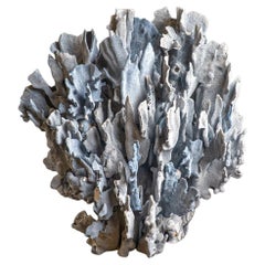 Genuine Blue Ridge Coral (21", 29 lbs)