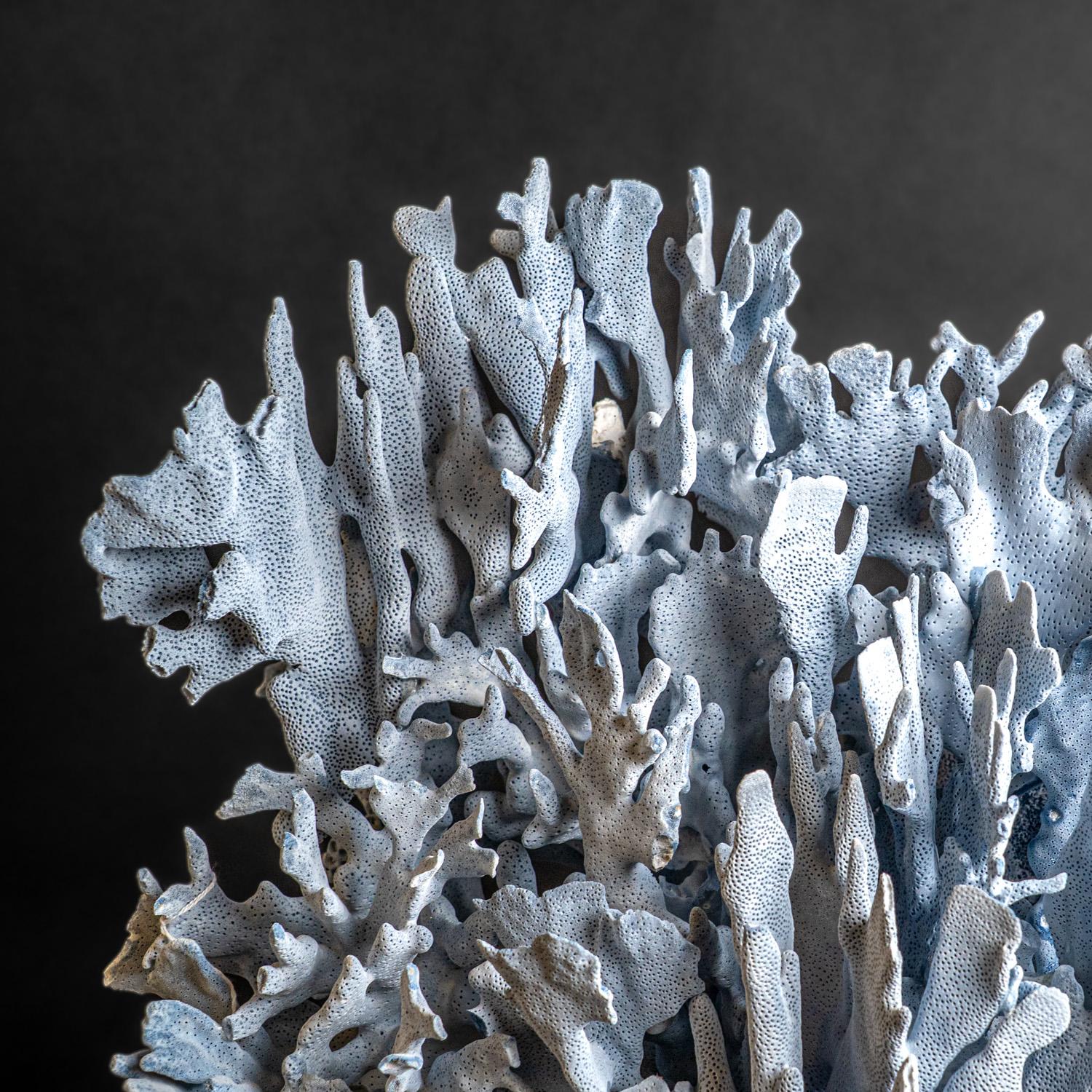 Genuine Blue Ridge Coral (25