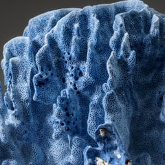 Genuine Blue Ridge Coral Nautical Object, Sustainable Aquaculture 11""