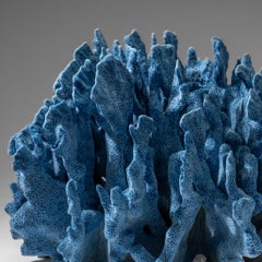 Genuine Blue Ridge Coral Nautical Object, Sustainable Aquaculture 8""