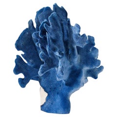 Genuine Blue Ridge Coral Nautical Object, Sustainable Aquaculture 9"