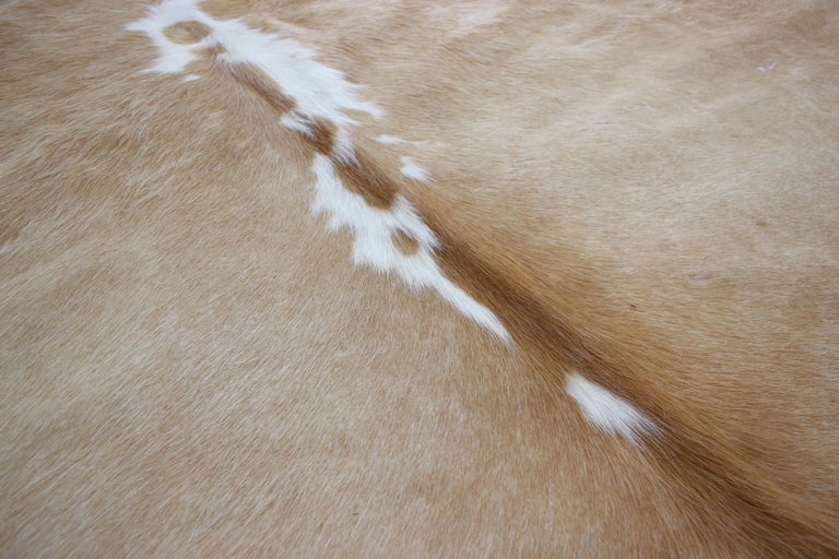 Genuine Brazilian Light Brown and White Cowhide For Sale at 1stDibs
