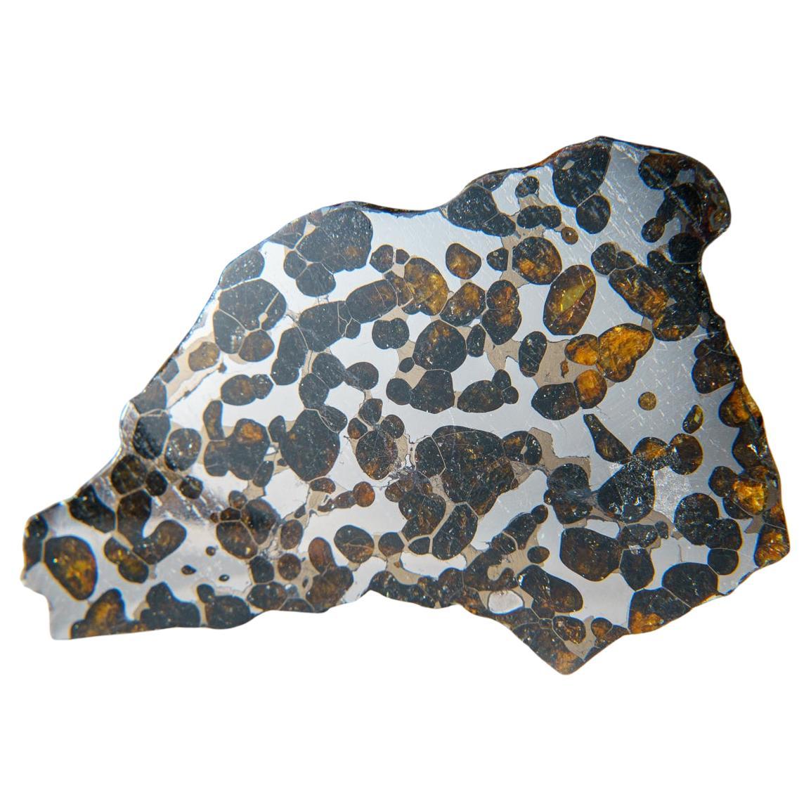 Genuine Brenhama Pallasite Meteorite Slice (86 grams) For Sale