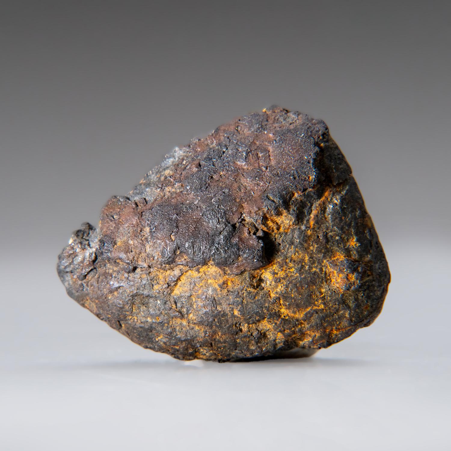Américain Une véritable météorite Canyon Diablo Iron (47,4 grammes) en vente