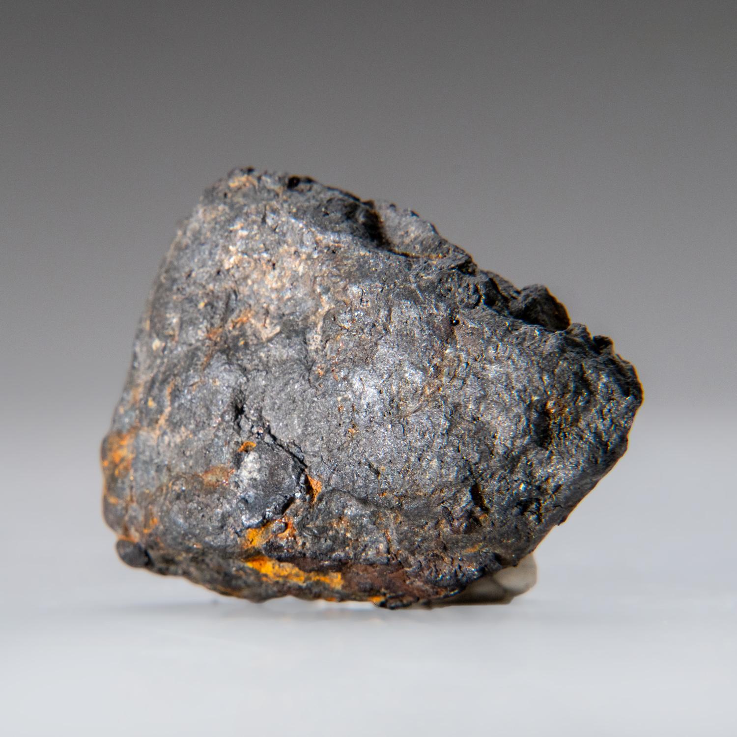 American Genuine Canyon Diablo Iron Meteorite (47.4 grams) For Sale