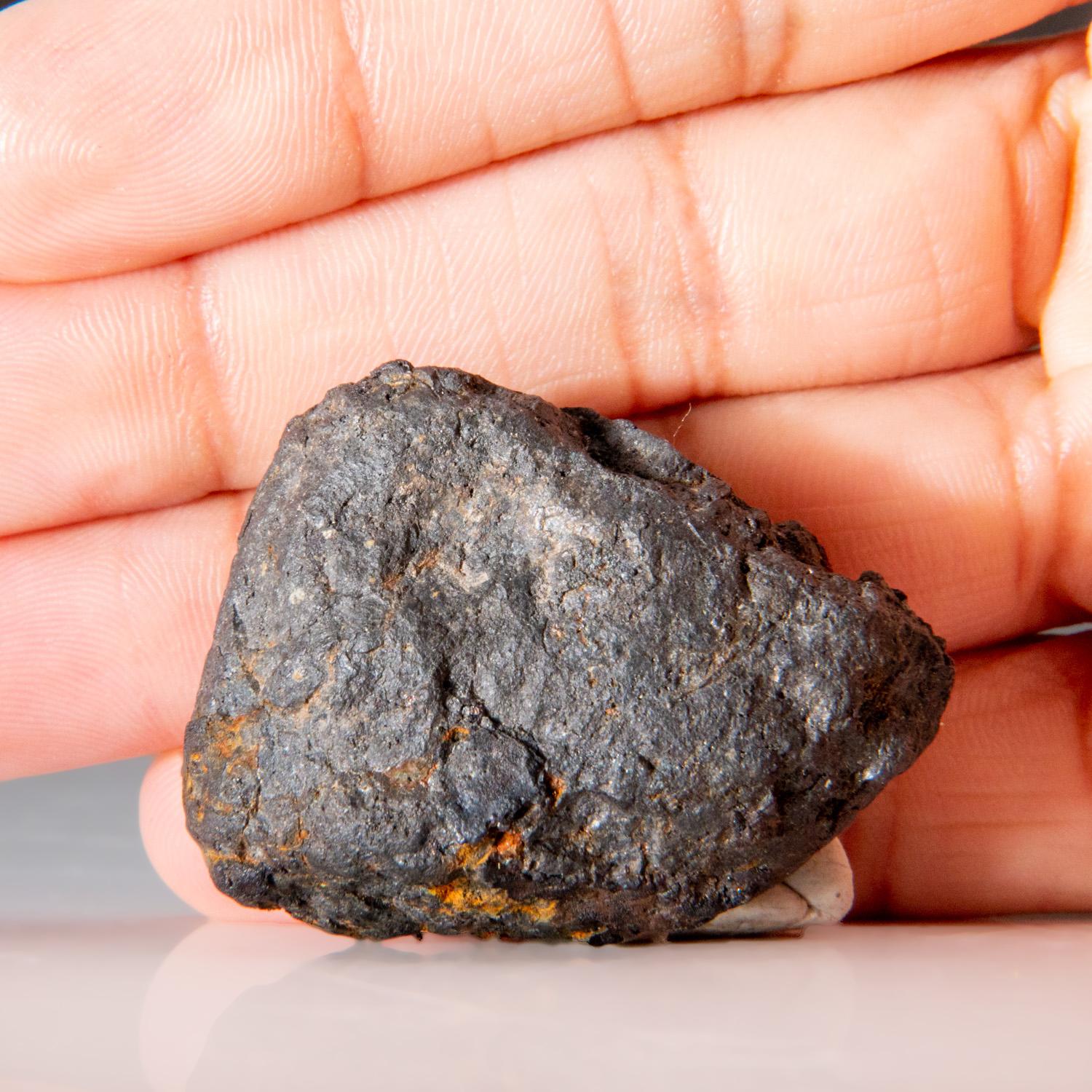 Genuine Canyon Diablo Iron Meteorite (47.4 grams) In New Condition For Sale In New York, NY