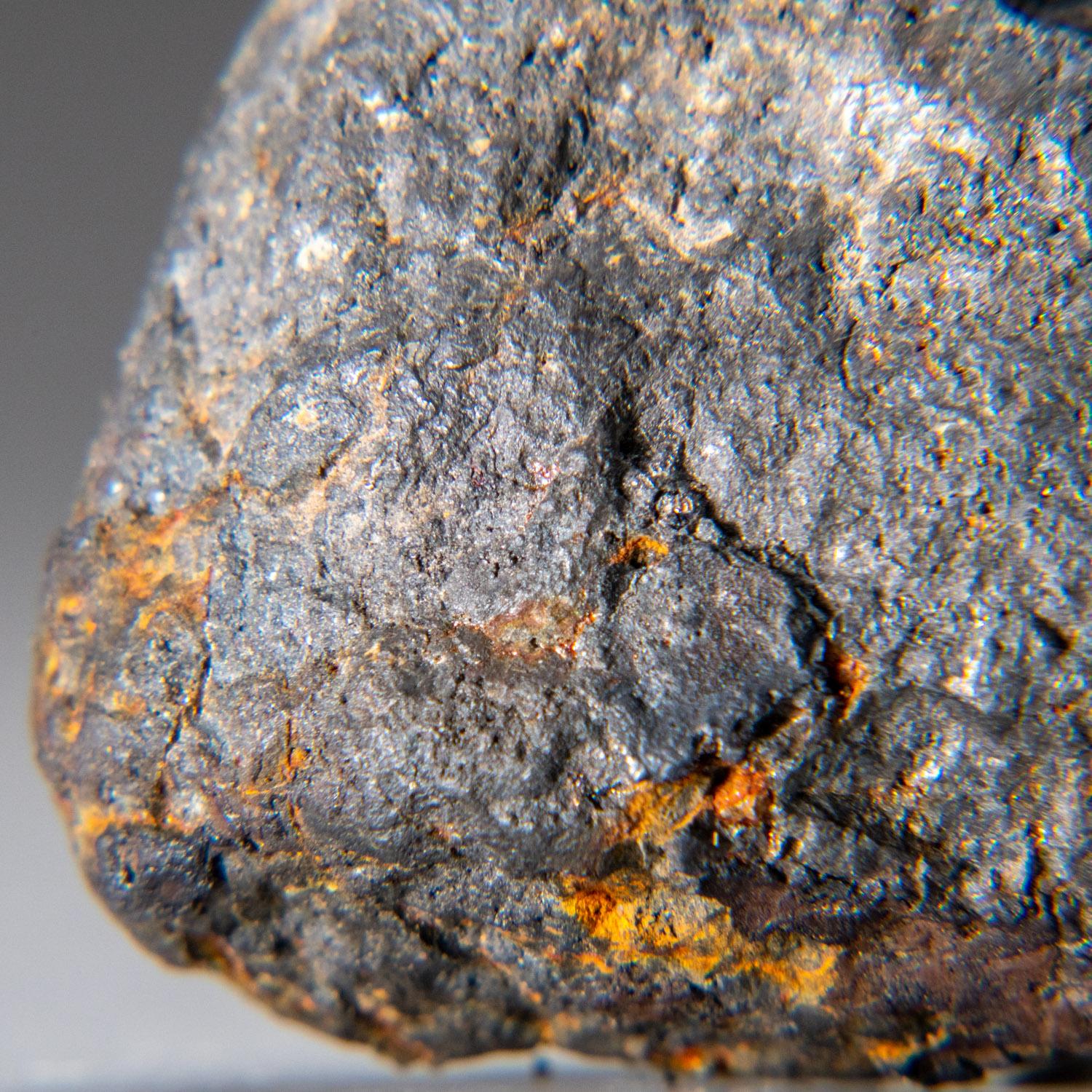 Contemporary Genuine Canyon Diablo Iron Meteorite (47.4 grams) For Sale