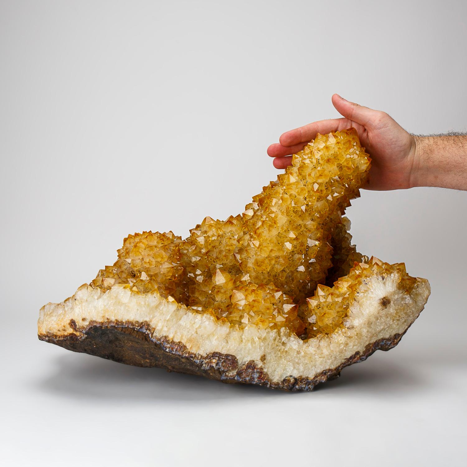Genuine Citrine Quartz Crystal Cluster Stalactite (67 lbs) In New Condition For Sale In New York, NY