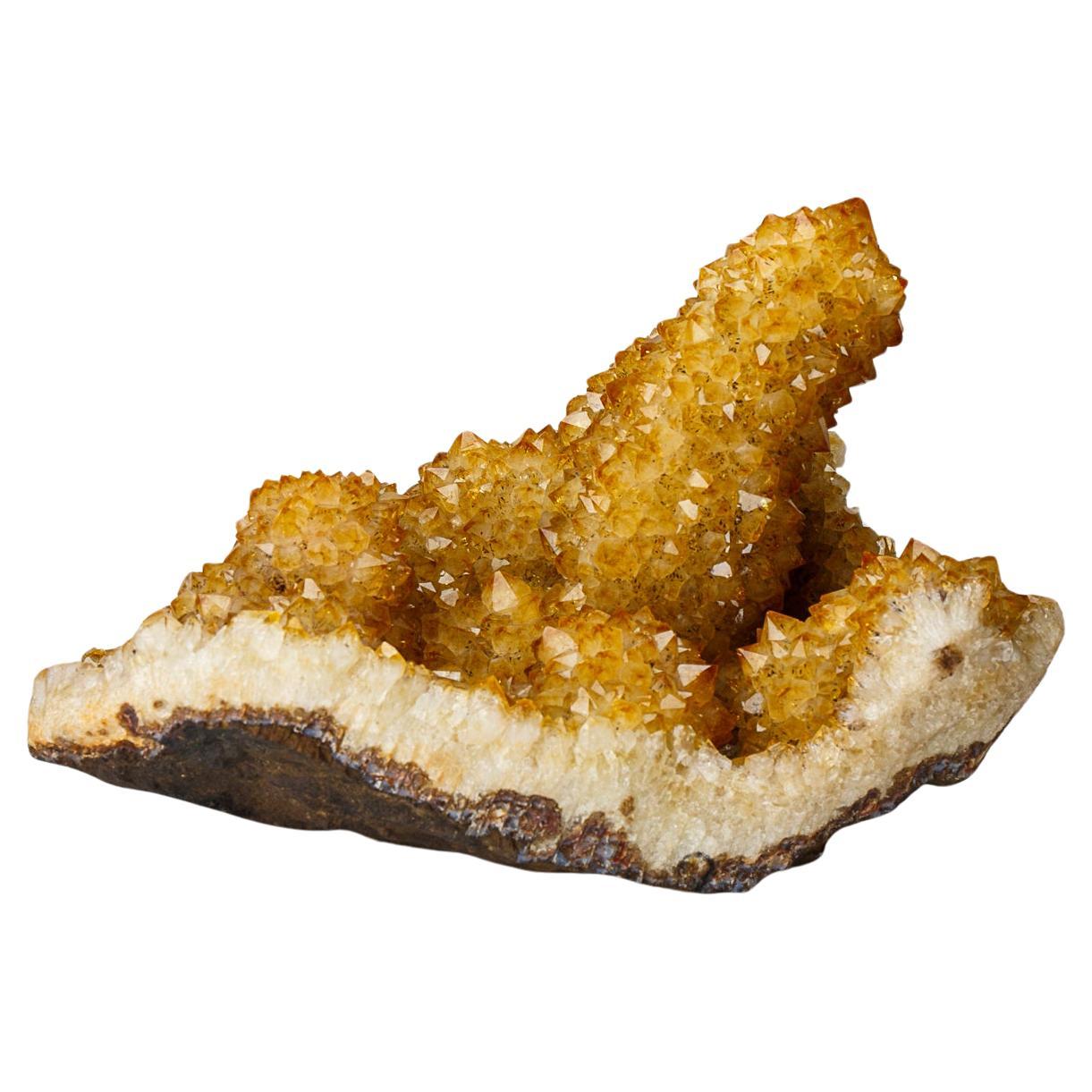 Genuine Citrine Quartz Crystal Cluster Stalactite (67 lbs)