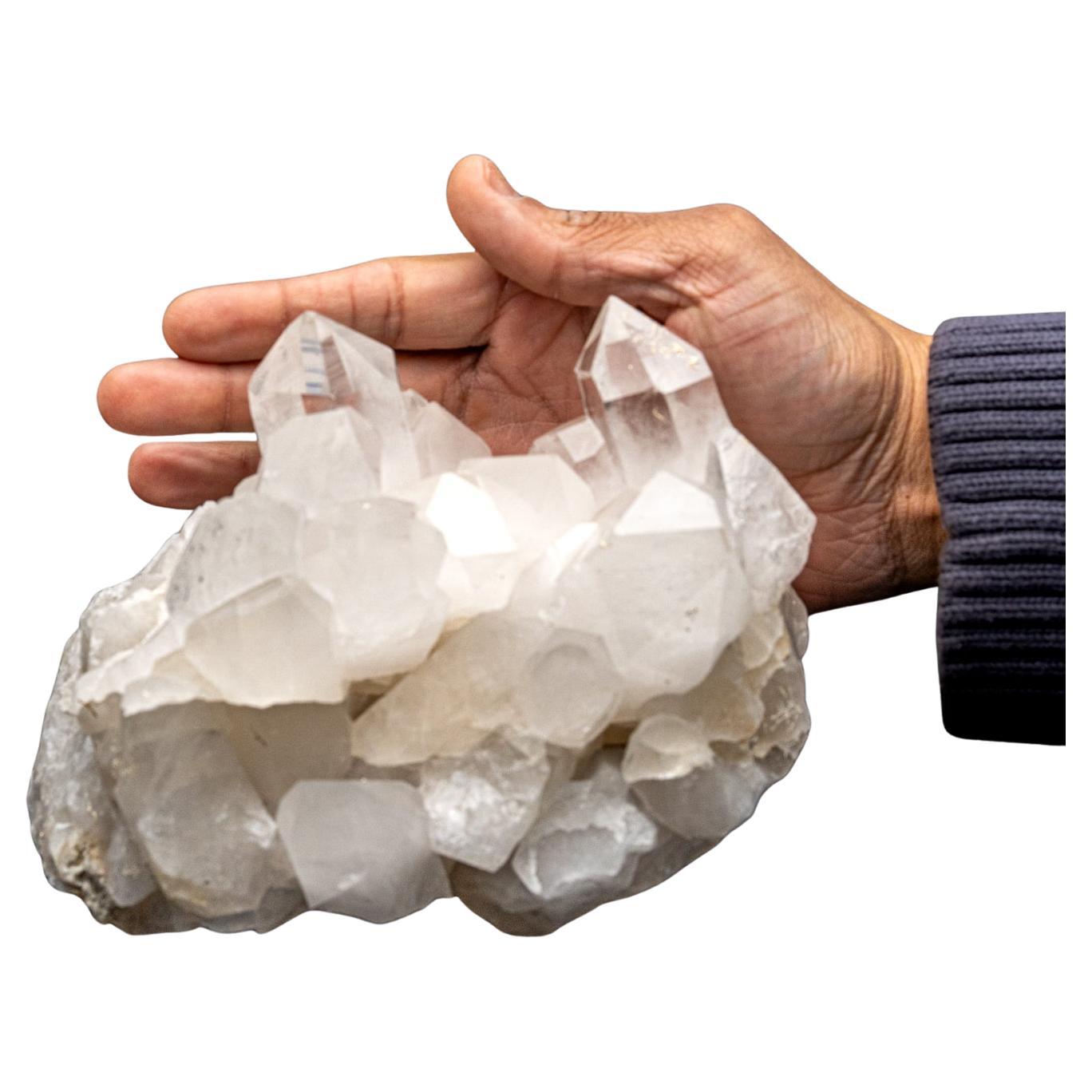 Cluster di cristalli puntiformi di quarzo brasiliano di alta qualità. Questo gruppo di cristalli traslucidi presenta cristalli di quarzo puntiformi completamente terminati con facce lucenti altamente riflettenti.

Il Quarzo Chiaro favorisce la