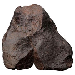 Echtes Dhofar-020-Meteoritenstück, 391 g – Oman-Chondrit
