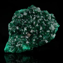 Genuine Dioptase // 300 Grams