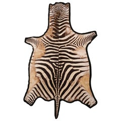 Vintage Genuine Extra Large Burchell Zebra Skin with Black Felt Lining as a Rug