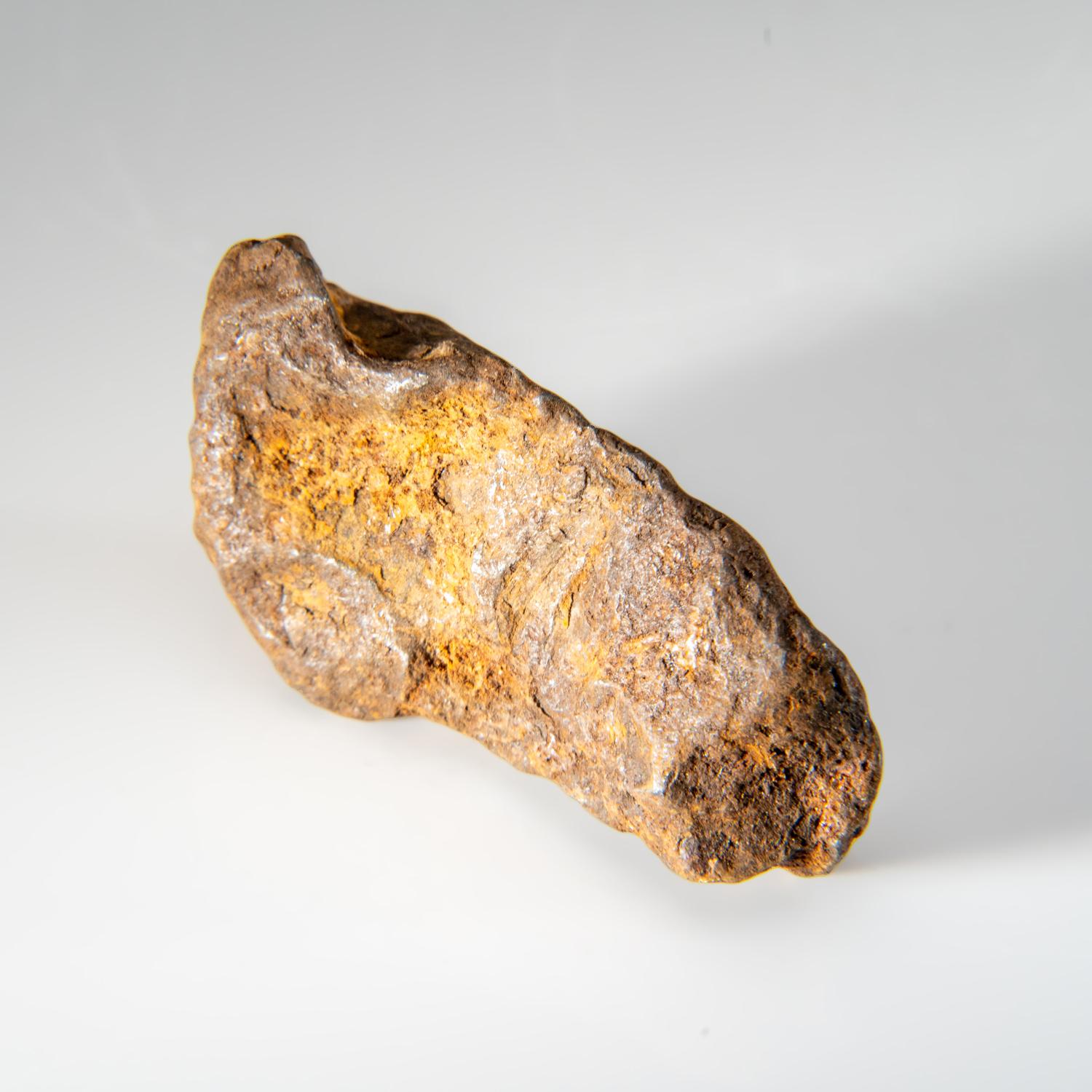 American Genuine Gebel Kamil Meteorite from Egypt (148.9 grams) For Sale