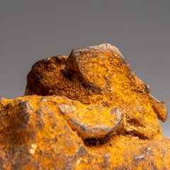 Genuine Gebel Kamil Meteorite from Egypt (360 grams)
