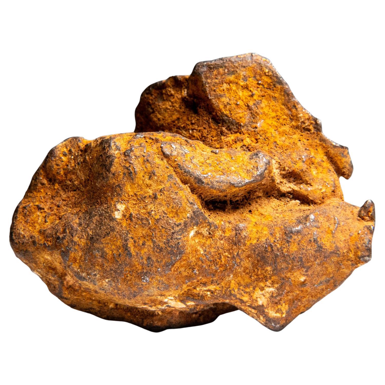Genuine Gebel Kamil Meteorite from Egypt (360 grams)