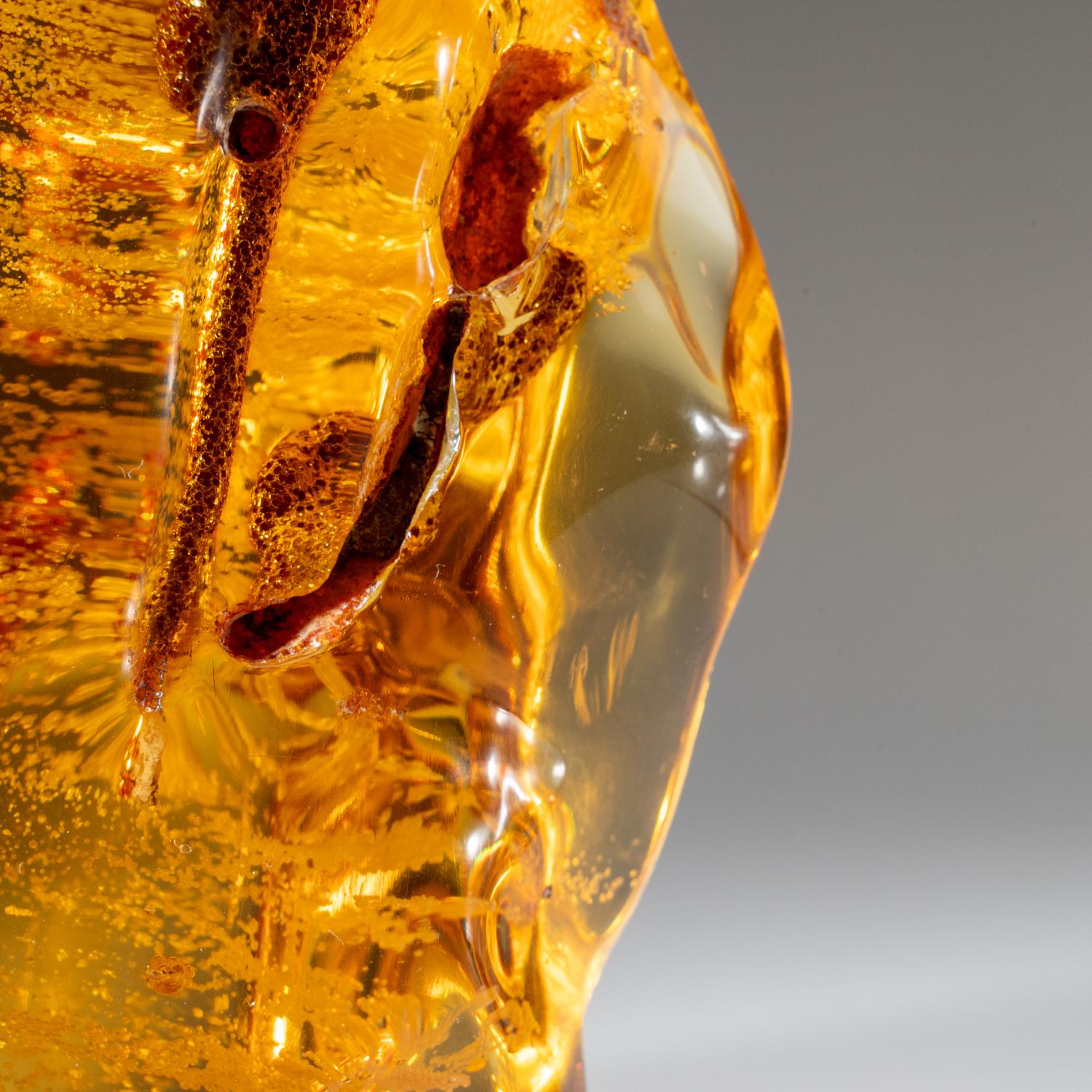 Genuine Gem-Quality Copal Amber from Colombia (215 grams) 1