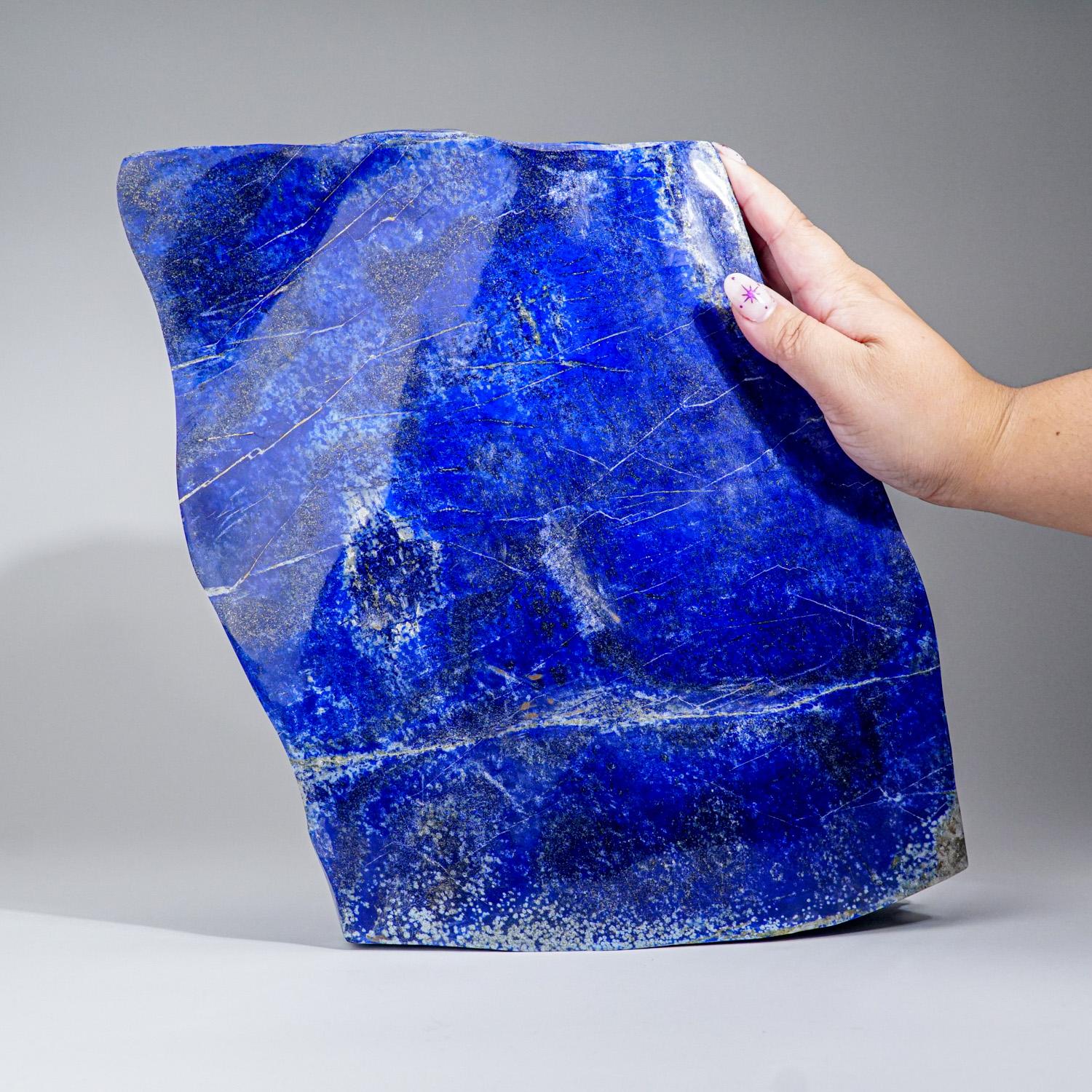 Genuine Giant Lapis Lazuli Freeform from Afghanistan '33.2 lbs' In Excellent Condition In New York, NY