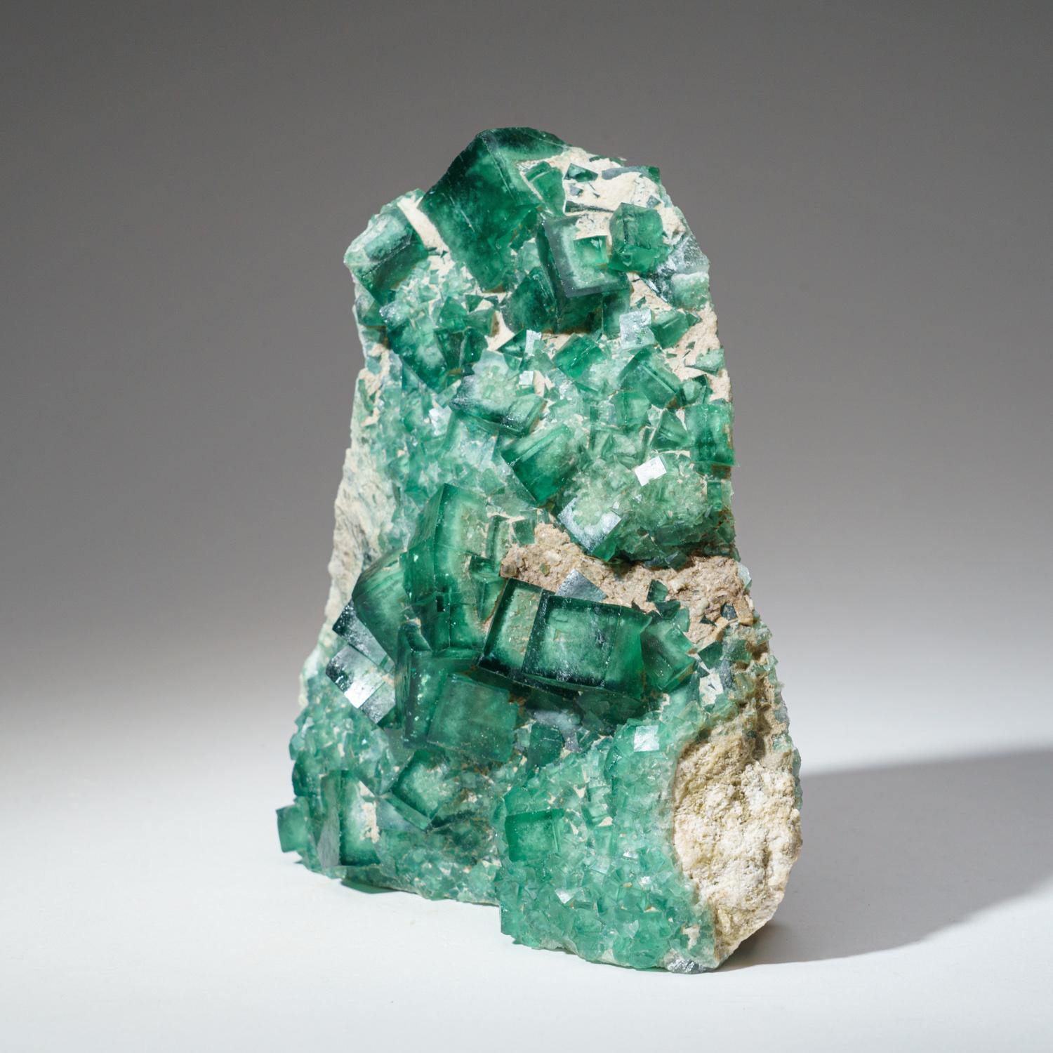 Ein echtes grünes Fluorit aus Namibia (3 lbs) im Zustand „Neu“ im Angebot in New York, NY