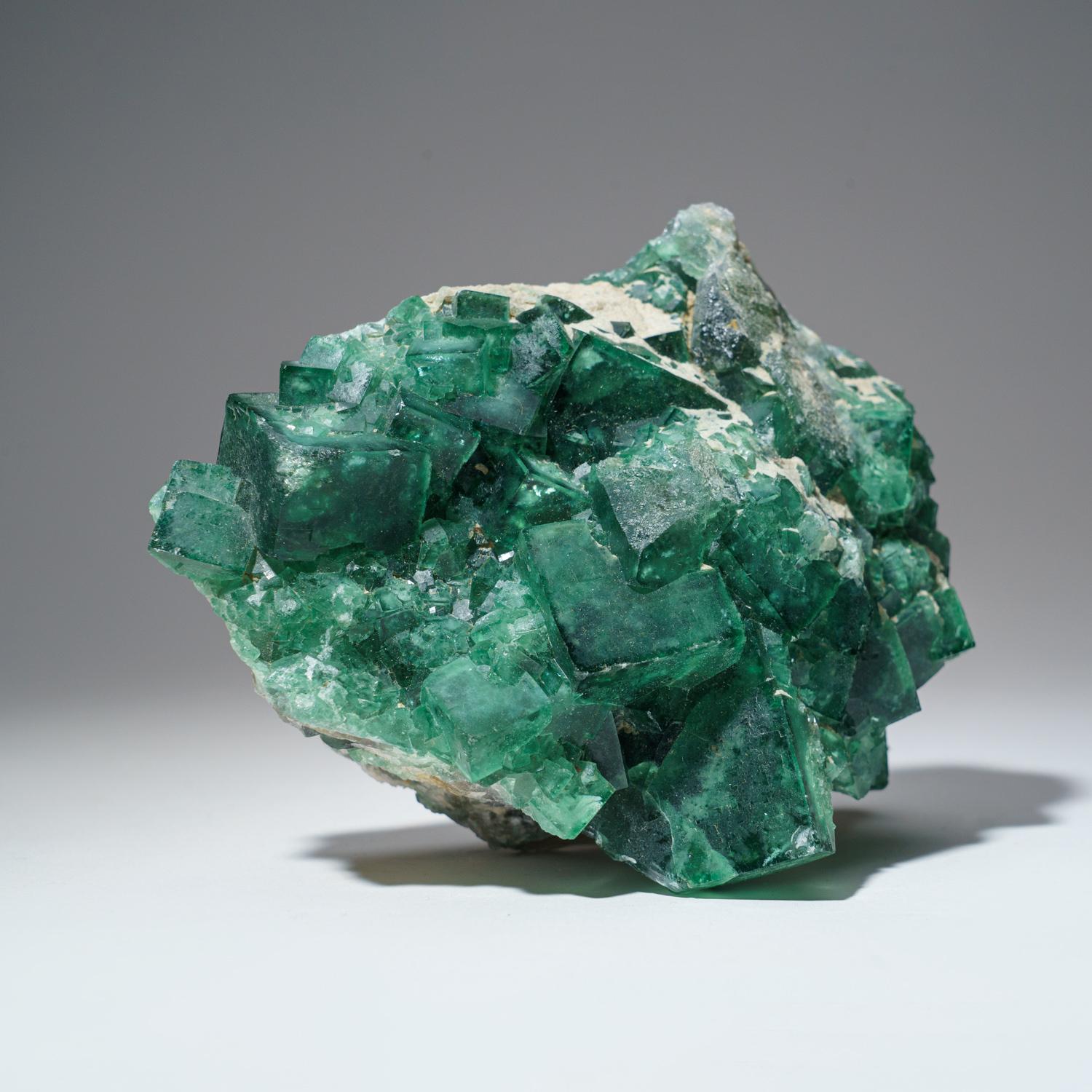 Fluorite verte véritable de Namibia (3 lbs) Neuf - En vente à New York, NY