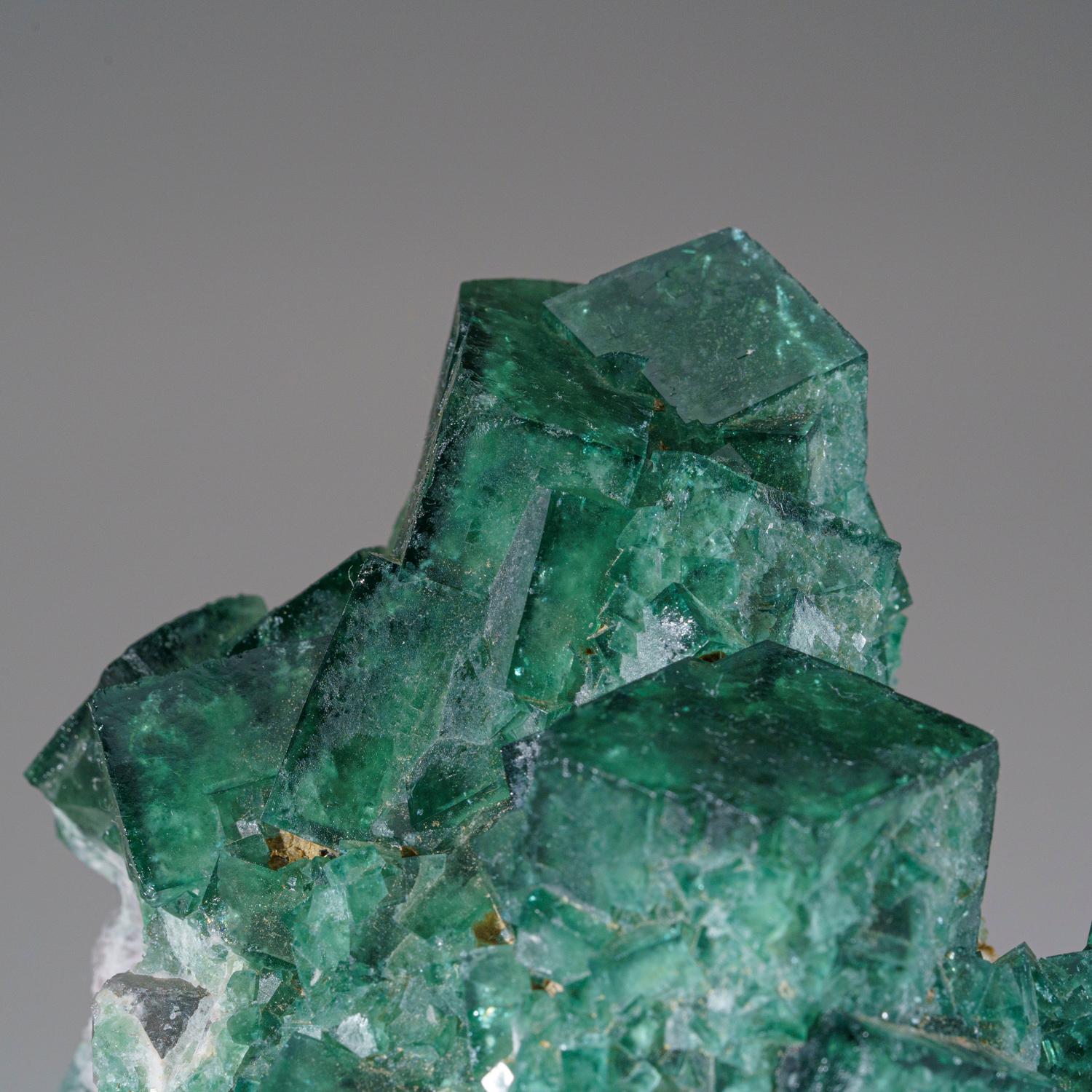 Cristalli cubici di fluorite verde trasparente con facce del cristallo leggermente strutturate e composte da microscopiche facce ottaedriche. Il colore verde brillante è molto buono per questa località classica che di solito produce fluorite
